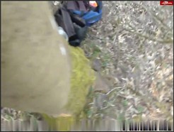 Gangbang-Wife – Von 10 Männern vollgespritzt im Wald