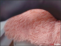 lunaroulette_real – Ich habe meine strumpfhose gebrochen und hatte einen guten fick